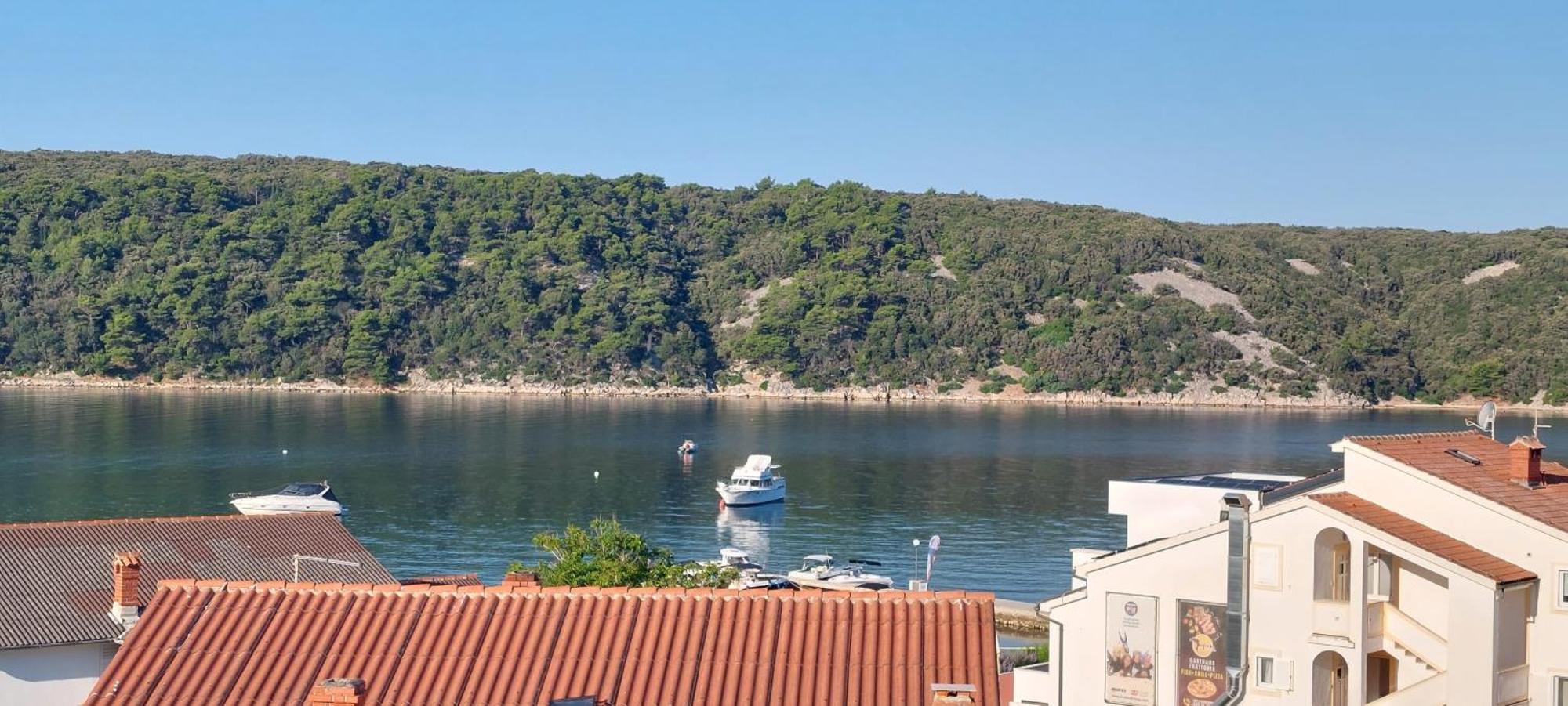 Apartmani Sladana Kampor Pokoj fotografie